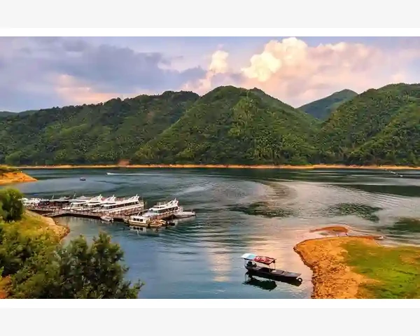 湿热病候缠绕，熟地黄治之良方