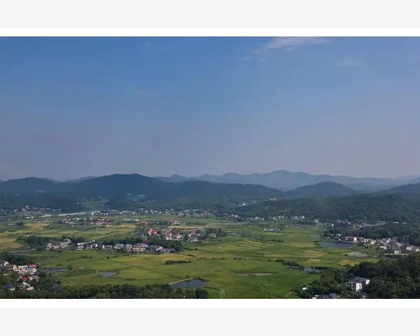 儿童脾胃虚弱：薏仁的饮食取舍解析